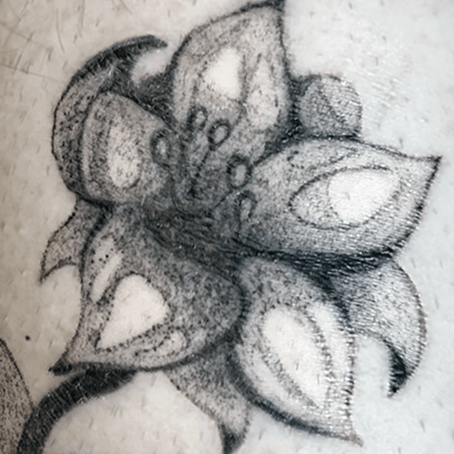 Flower - Black and grey, stipple shaded flower.