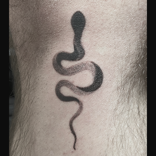 Snake - Black and grey, stipple shaded snake.